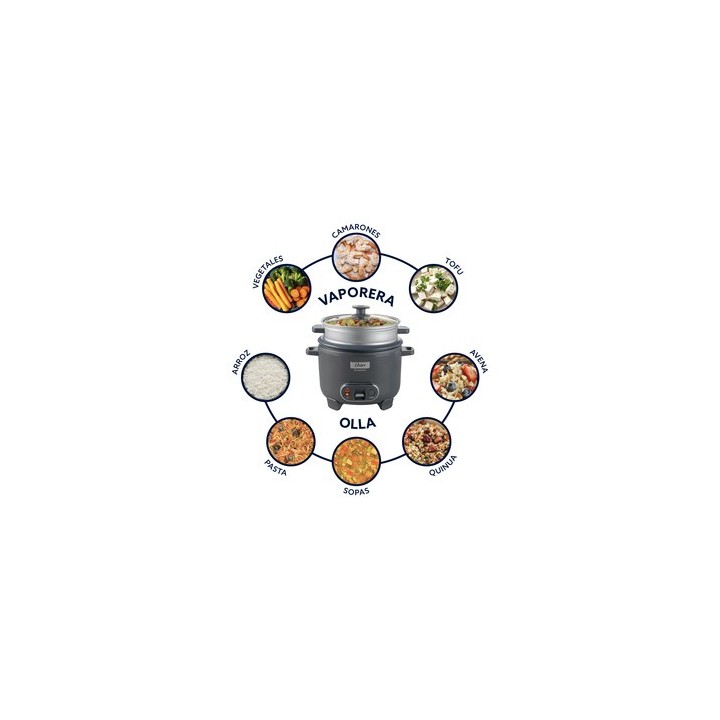 OSTER ARROCERA 10T SOFRITO CKSTRC10DFSKE