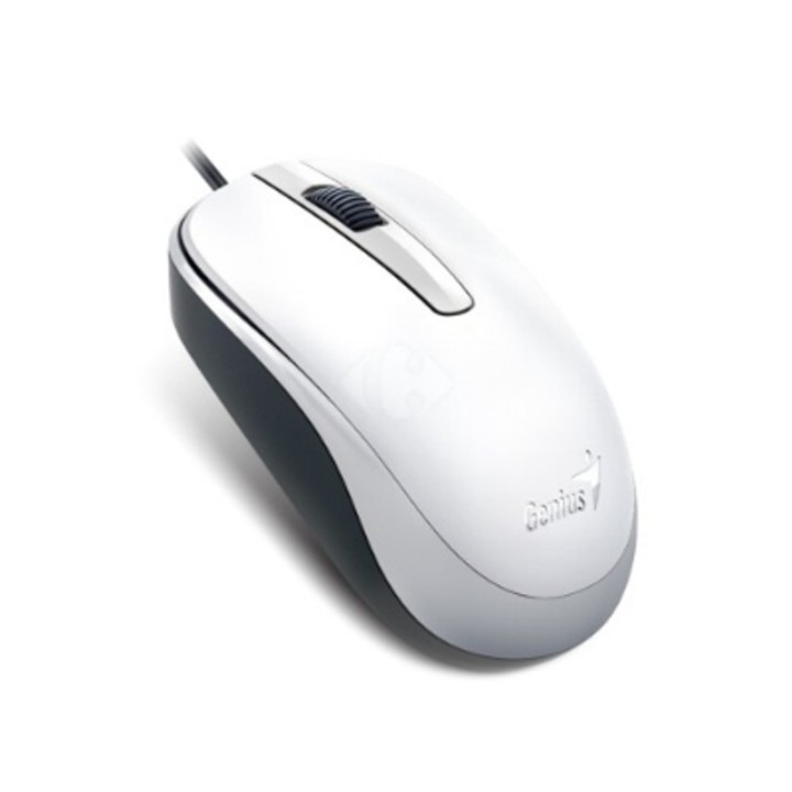GENIUS MOUSE OPTICO USB. DX-120 BLANCO