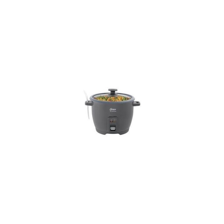OSTER ARROCERA 10T GRIS. CKSTRCB10DFSKE