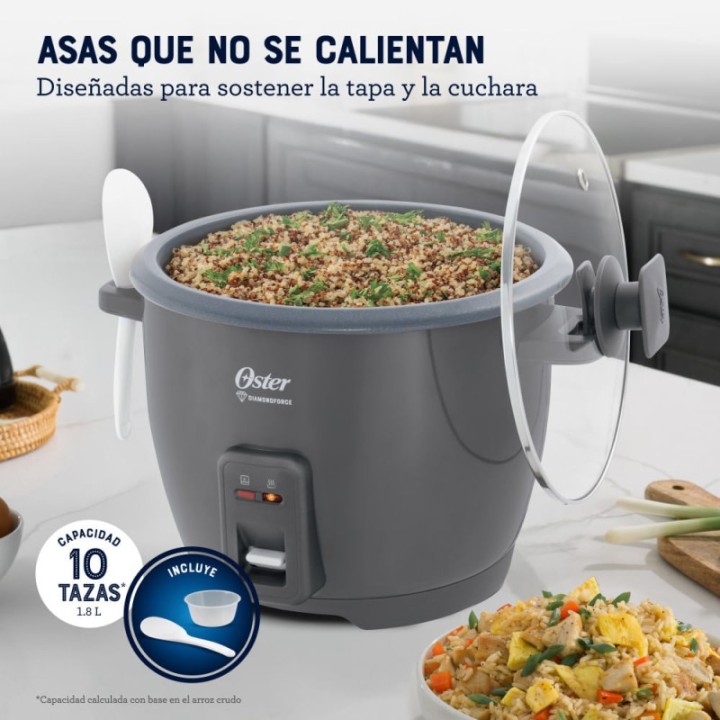 OSTER ARROCERA 10T GRIS. CKSTRCB10DFSKE