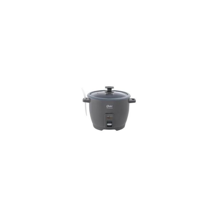 OSTER ARROCERA 10T GRIS. CKSTRCB10DFSKE